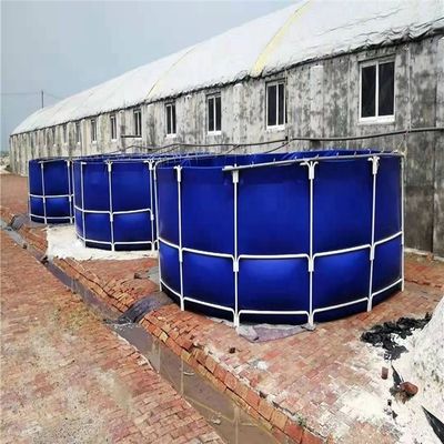 Durata di vita 3-15 anni BLACK Steel Frame PVC HDPE Tank for Indoor Fish Farm Forma quadrata