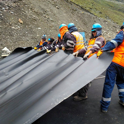 Stile di design cinese 1.0 mm Superficie liscia HDPE nero Geomembrane Roll per gamberetti