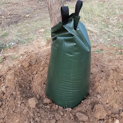 5 confezioni di sacchetti per l'irrigazione di alberi in PE su Ebay