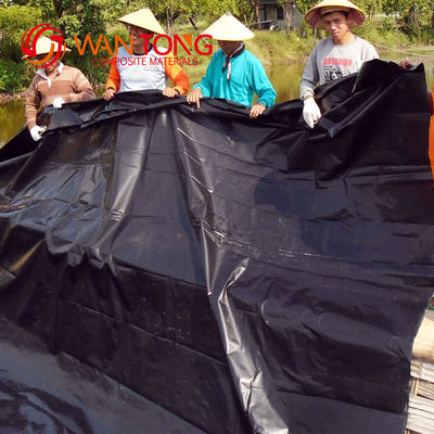 GB/ASTM GRI-GM13 Standard Black HDPE Geomembrane Pond Liner per stagno di gamberetti