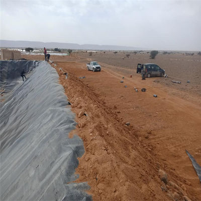 Geomembrana di design industriale per geomembrana in HDPE da 1,5 mm inferiore