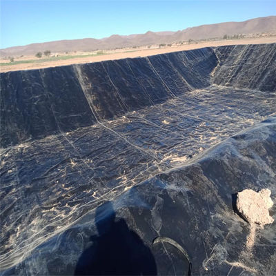 Serbatoi circolari in geomembrana di HDPE vergine o riciclata per l'acquacoltura