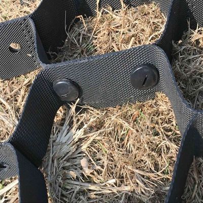SGS Certified Plastic Geocell Gravel Driveway Grid per prestazioni e sicurezza migliorate