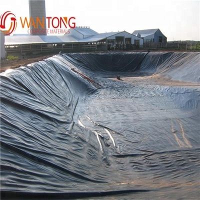 Filtro di geomembrana in HDPE verde nero per rivestimenti di dighe