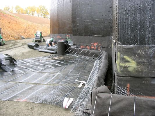 Ingegneria civile Geogrid 3030 Polipropilene PP per prestazioni migliorate