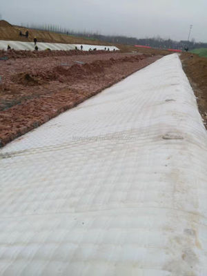 1-6 m di larghezza Tessuto geotessile non tessuto 250 g/m2 per progetti di paesaggio e verde