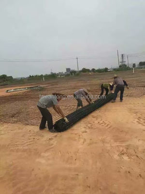 Filippine Geogrid in fibra di vetro Geotextile composito Pavimentazione Geogrid per garage