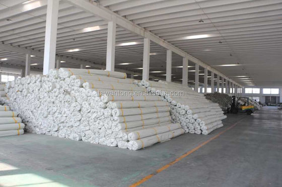 Filippine Geogrid in fibra di vetro Geotextile composito Pavimentazione Geogrid per garage