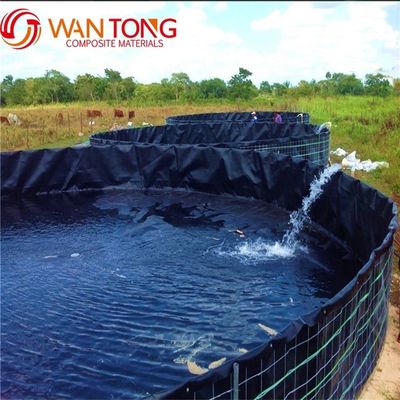 Durata di vita 3-15 anni BLACK Steel Frame PVC HDPE Tank for Indoor Fish Farm Forma quadrata