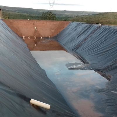 LDPE LLDPE HDPE Plastica stagni di pesci impermeabilizzazione Membrana 0,5 mm HDPE Geomembrana foglio m2