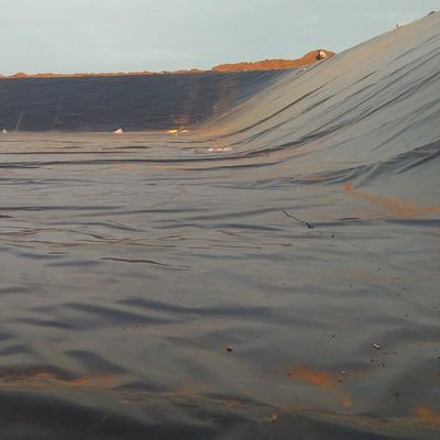 LDPE LLDPE HDPE Plastica stagni di pesci impermeabilizzazione Membrana 0,5 mm HDPE Geomembrana foglio m2