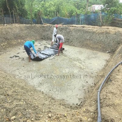 Superficie liscia con texture 1,5 mm Geomembrana HDPE per diga in plastica impermeabile 1,0 mm