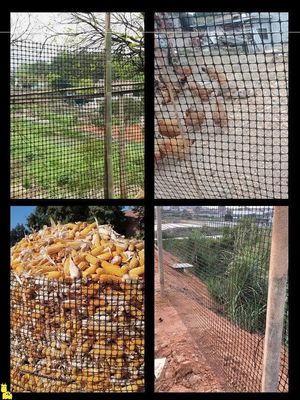Normale nero biassiale Geogrid essenziale per l' allevamento di polli Recinzione di plastica nel letto della strada