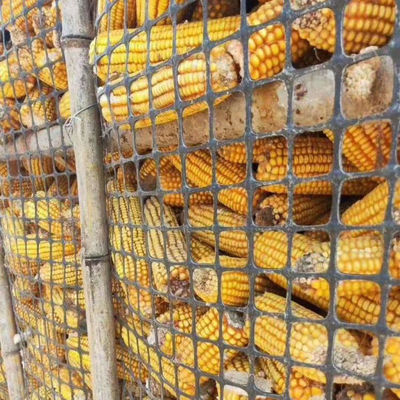 Normale nero biassiale Geogrid essenziale per l' allevamento di polli Recinzione di plastica nel letto della strada