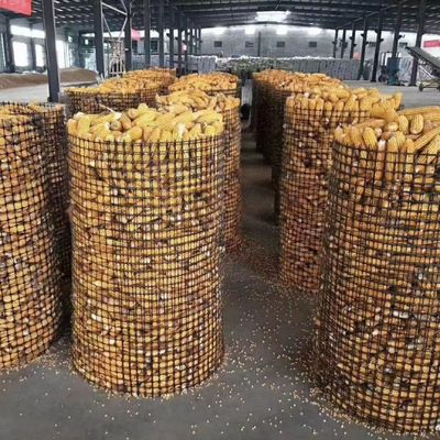 Geogrid di poliestere tessuto per la protezione del pavimento stradale e della pendenza spessore 0,2 mm-4 mm Standard ISO