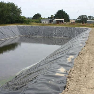 0.2 mm Geomembrana di HDPE Rivestimenti di telone impermeabili per stagni di allevamento di pesci Biofloc