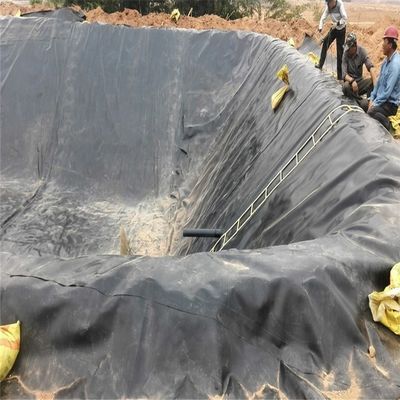 0.2 mm Geomembrana di HDPE Rivestimenti di telone impermeabili per stagni di allevamento di pesci Biofloc