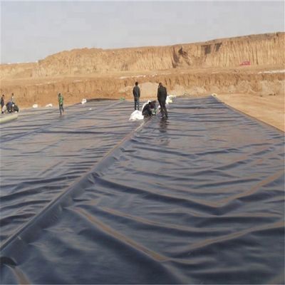 0.2 mm Geomembrana di HDPE Rivestimenti di telone impermeabili per stagni di allevamento di pesci Biofloc