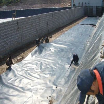 0.2 mm Geomembrana di HDPE Rivestimenti di telone impermeabili per stagni di allevamento di pesci Biofloc