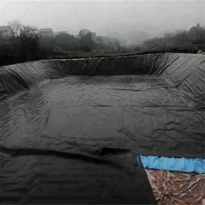 0.2 mm Geomembrana di HDPE Rivestimenti di telone impermeabili per stagni di allevamento di pesci Biofloc