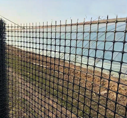 Rafforzamento stradale Griglia biassiale con e resistenza alla trazione in stile di design cinese