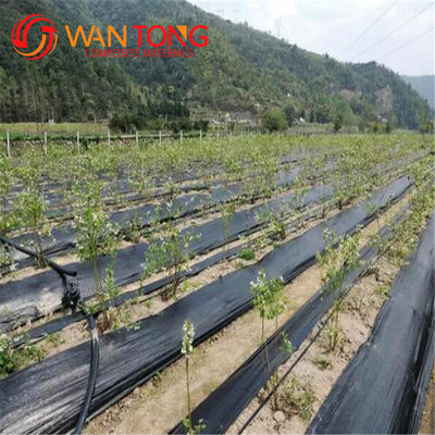 200G/M2 Geotextile tessuto in PP anti-UV per la rottura di erbe infestanti da giardino per copertura del terreno e costruzioni