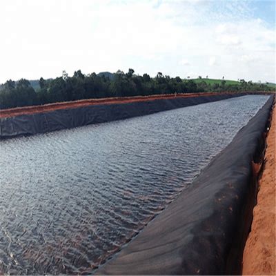 Fogli di rivestimento per stagno a geomembrana per spirulina in blu spessore 0,2 mm-3 mm