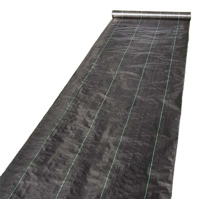 Costruzione Nero Bianco Giallo Colore PP Geotessile tessuto Lunghezza 50-100m/rollo su richiesta