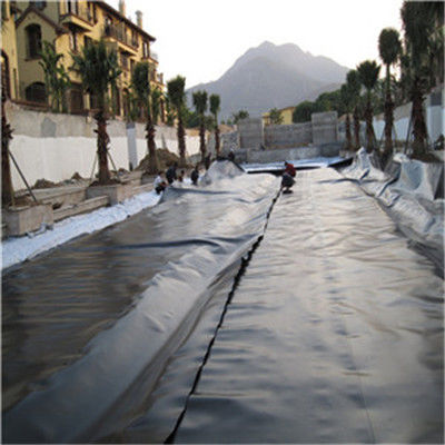 Stile di design contemporaneo Geomembrana in HDPE prodotta in India da 1 mm per rivestimento di stagni per pesci