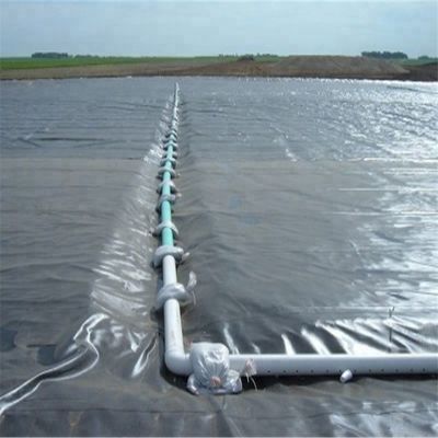 Stile di design contemporaneo Geomembrana in HDPE prodotta in India da 1 mm per rivestimento di stagni per pesci