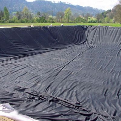 Stile di design contemporaneo Geomembrana in HDPE prodotta in India da 1 mm per rivestimento di stagni per pesci
