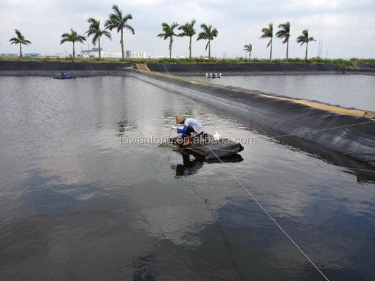 Geomembrane per serbatoi di pesci 2 mm nero impermeabile HDPE plastica installazione in loco