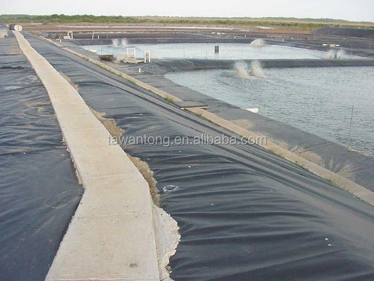 Geomembrane per serbatoi di pesci 2 mm nero impermeabile HDPE plastica installazione in loco