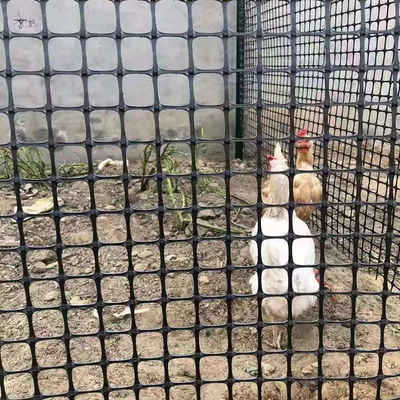 Fence a griglia biassiale di design cinese per pollo a terra