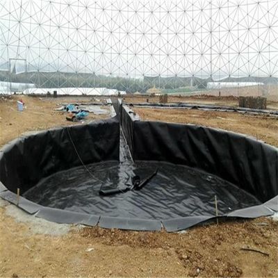 Geomembrana impermeabile in HDPE rivestimento impermeabile per stagno di pesce in HDPE