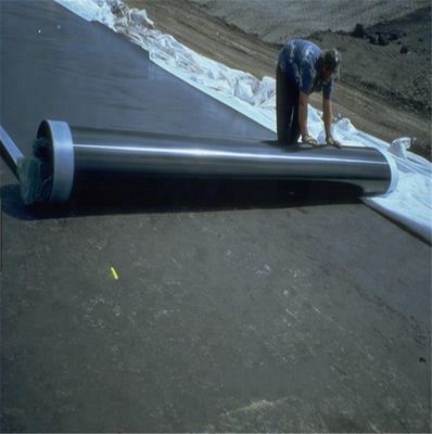 Geomembrana impermeabile in HDPE rivestimento impermeabile per stagno di pesce in HDPE