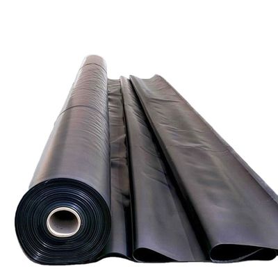 ASTM GRI-GM13 Geomembrana in HDPE da 1,0 mm certificata per la coestrusione con prestazioni stabili per pesci