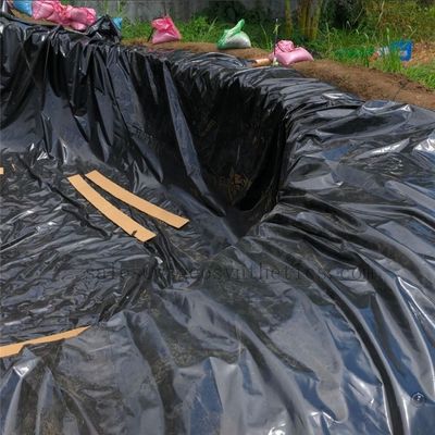 1 mm/1,5 mm HDPE Geomembrane Pool for Fish Pond Soluzione di lunga durata GB/ASTM GRI-GM13