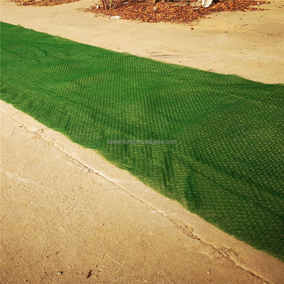 Lunghezza normale 50m Geomat di plastica per l'inverdimento del paesaggio certificato CE/ISO9001/ISO14001