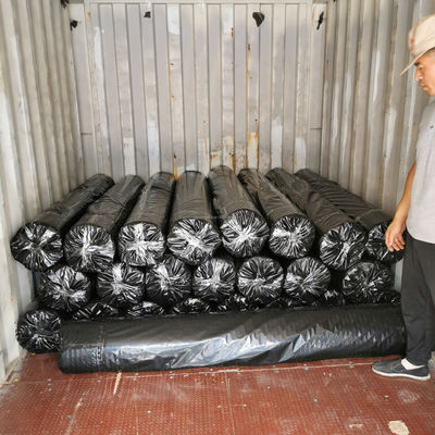 50-50kn Geogrid in poliestere/PET Geogrid per il rinforzo delle rive dei fiumi