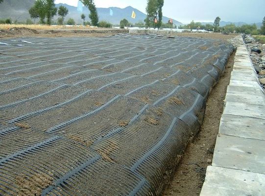 1m Larghezza di rotolamento Design asiatico PE Uniaxial Fence Mesh Geogrid per rinforzo stradale
