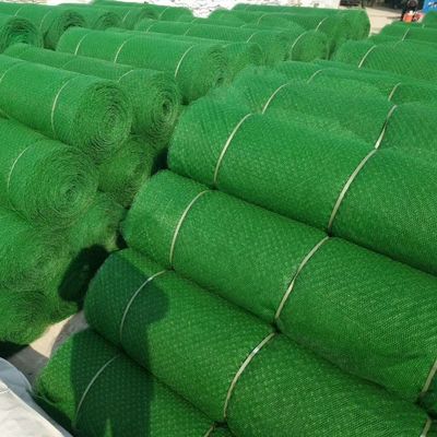 50 m di lunghezza normale Controllo dell'erosione Geosintesi Reti di plastica per richieste dei clienti