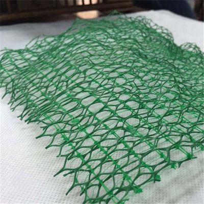 Promuovere la protezione sostenibile della vegetazione con un geomat tridimensionale in HDPE larghezza 2 metri