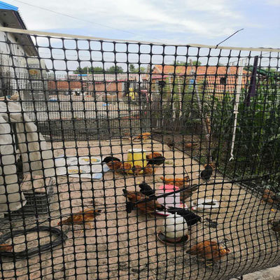 Materiale di polipropilene 15kn Fence Farm Mesh Geogrid per applicazioni agricole