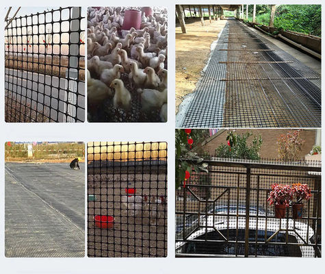 Materiale di polipropilene 15kn Fence Farm Mesh Geogrid per applicazioni agricole