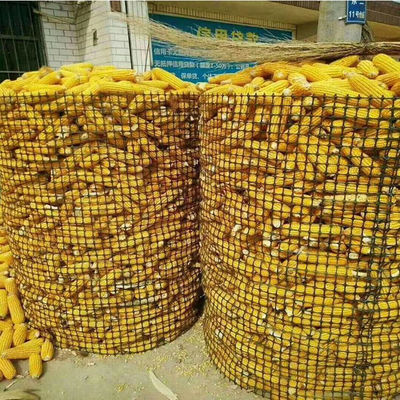 Materiale di polipropilene 15kn Fence Farm Mesh Geogrid per applicazioni agricole