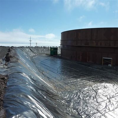 Geomembrana in HDPE per allevamenti di gamberetti e protezione delle dighe Geosintesi a prezzi accessibili