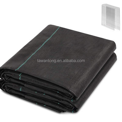 Stile di progettazione Linea verde Nero Plastico PP tessuto Geotextile Anti Weed Mat per Paesaggio Lunghezza personalizzata