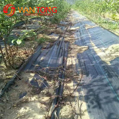 Costruzione di pavimenti 100 g/mq Barriera antierba in tessuto paesaggistico con certificato CE
