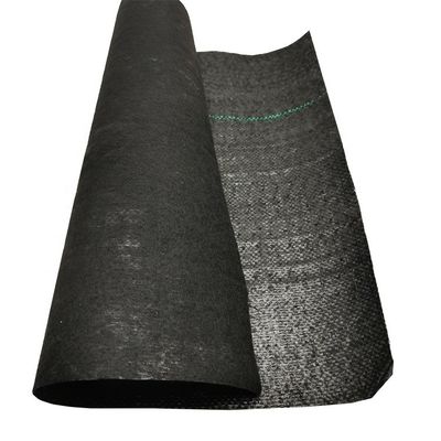 PP ad alta resistenza alla trazione 70GSM-400GSM Geotessile tessuto per il controllo delle erbacce del giardino di mirtilli